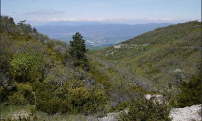 Vue depuis le Mourre-Nègre