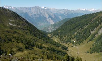 Le Vallon d´Arbi