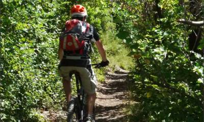 Le sentier au départ de Saillon