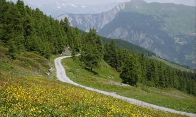 La piste qui monte depuis La Pasay