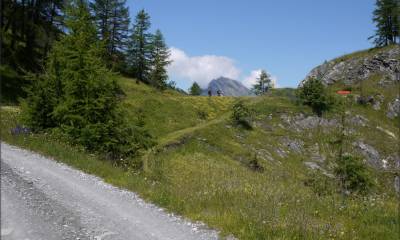 Piste agréable vers Tommeley