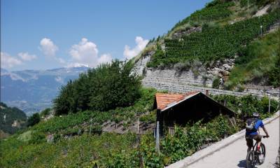 Les vignes, le soleil, le calme...mais ct´e tiaffe !