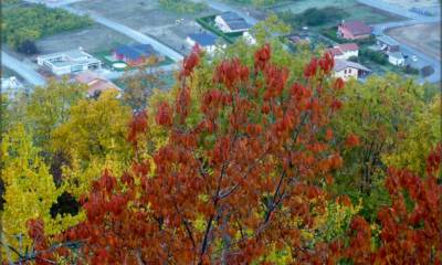 Descente colorée pour rejoindre Aproz