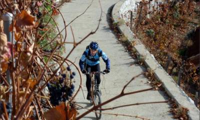 Montée par les vignes jusqu´à Nax