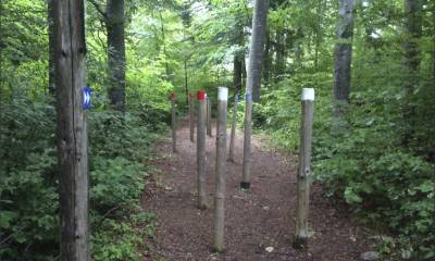 Parcours Vita