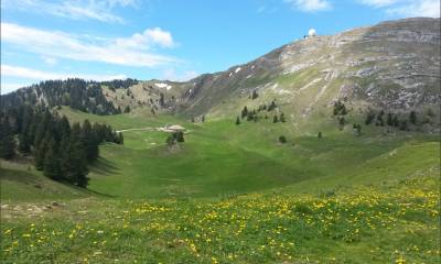 Jolie vue au pied de la Dôle