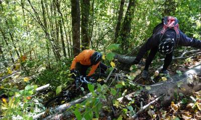 Après la descente un peu d´escalade avec les vélos.