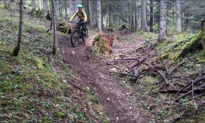 Forêt